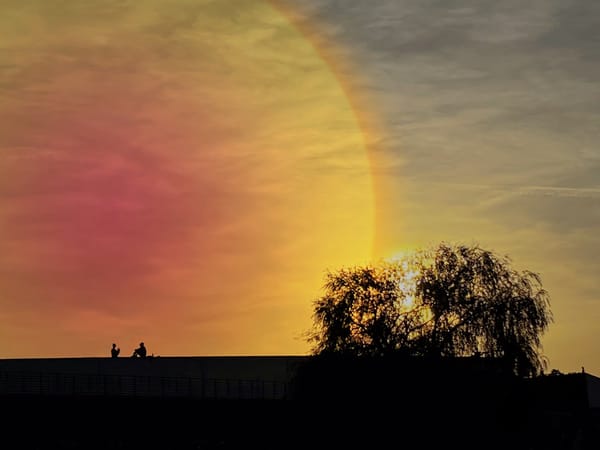 Berlin: City of … Loneliness?