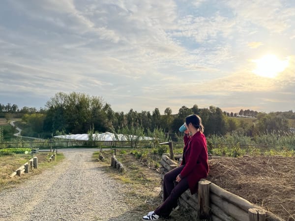 GagaEden at Orsolina28: A Review